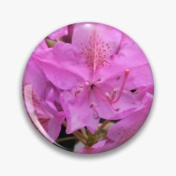 Item preview, Azaleas  designed and sold by Rosemary Peek.