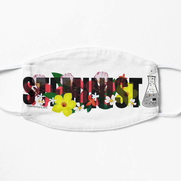 STEMinist 2 Mask