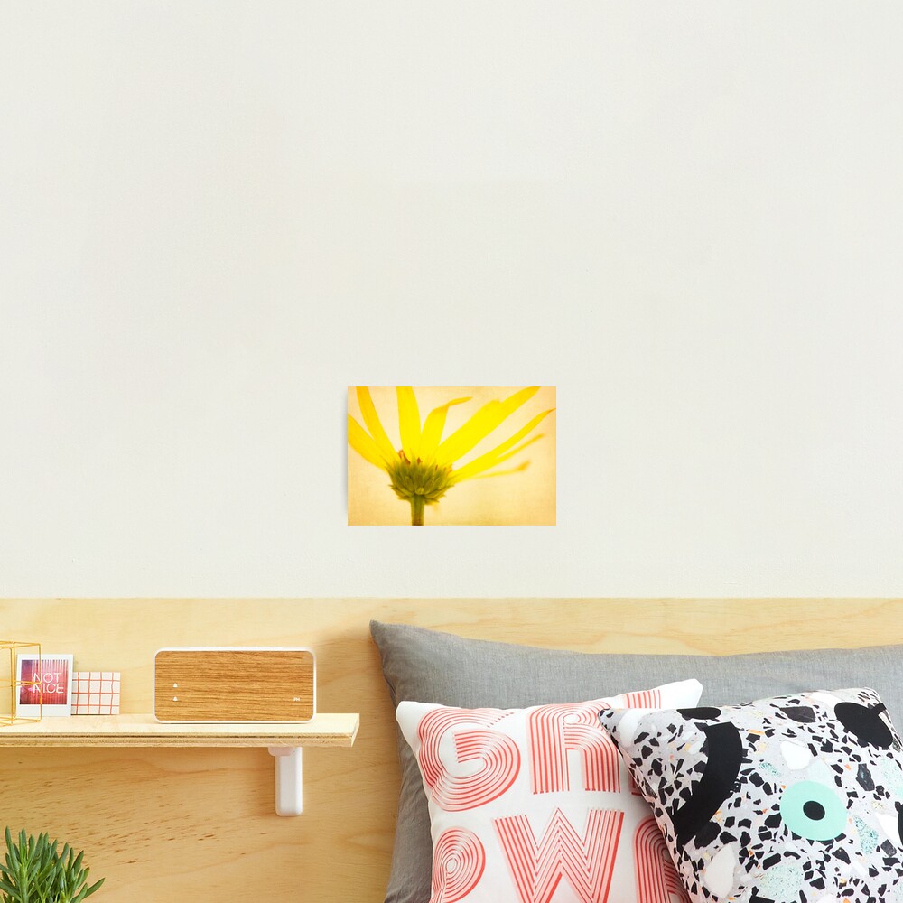 Item preview, Photographic Print designed and sold by cmpotts.