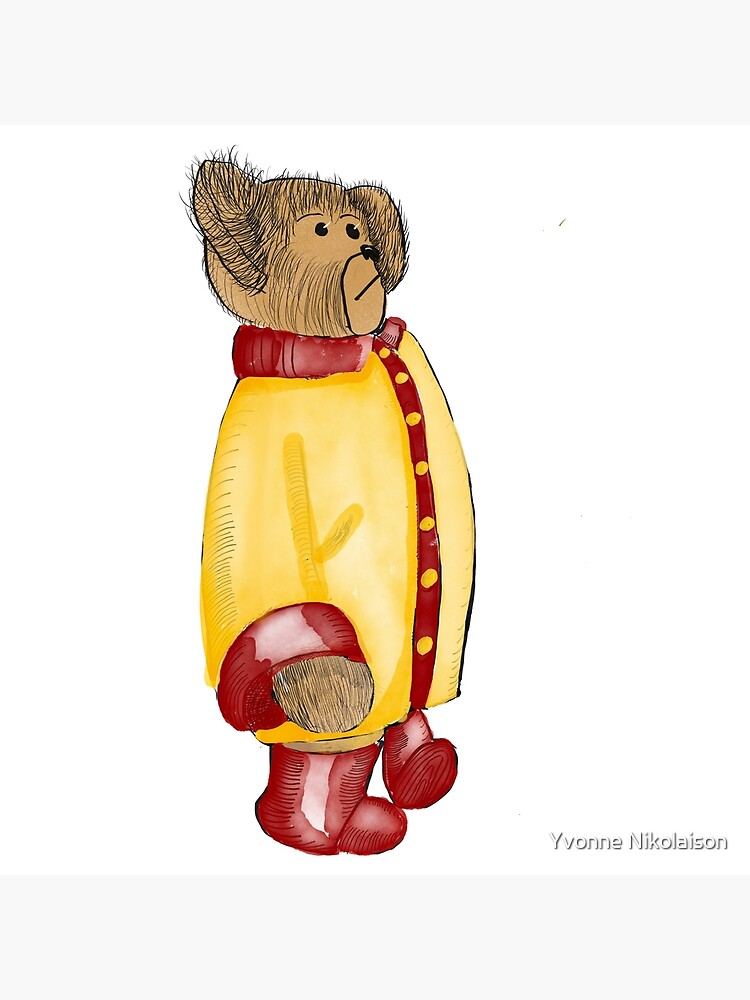 teddy bear with raincoat