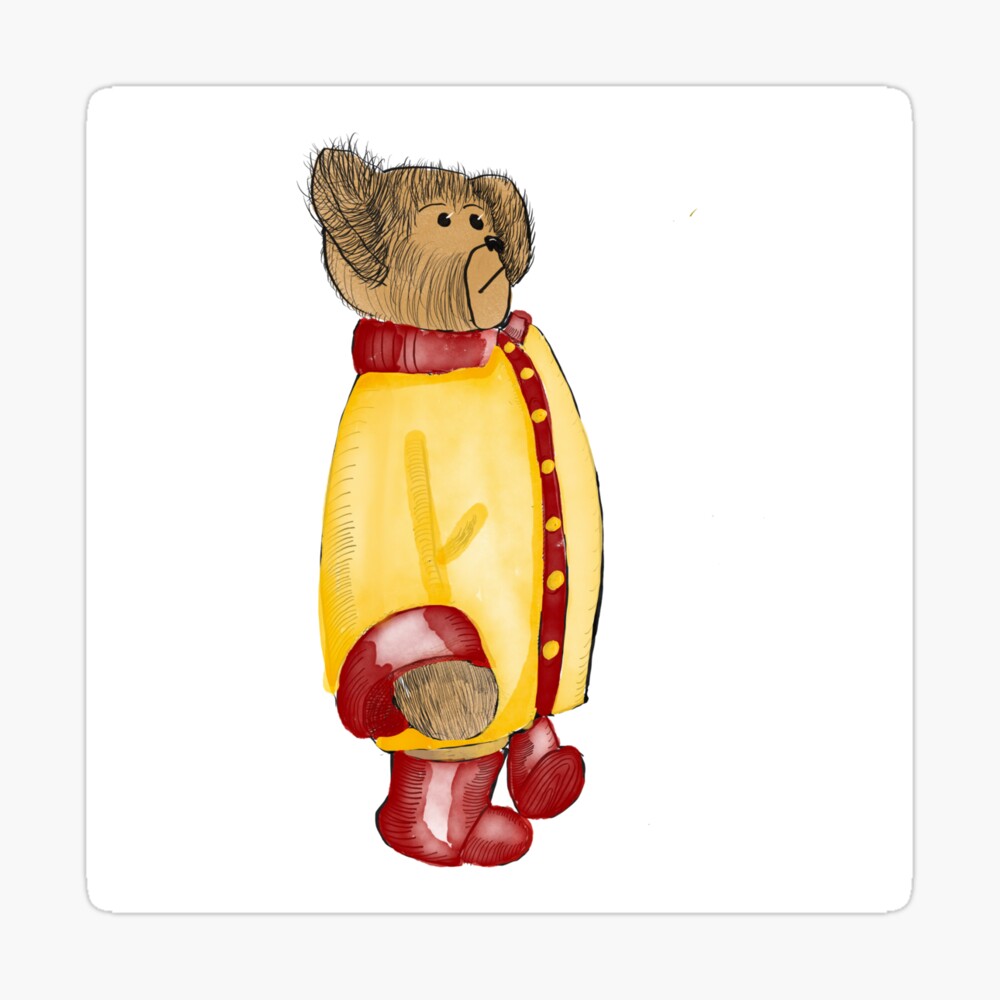 teddy bear in raincoat