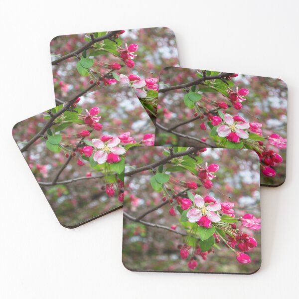 Item preview, Hot Pink Blooms designed and sold by Ollivrosa.