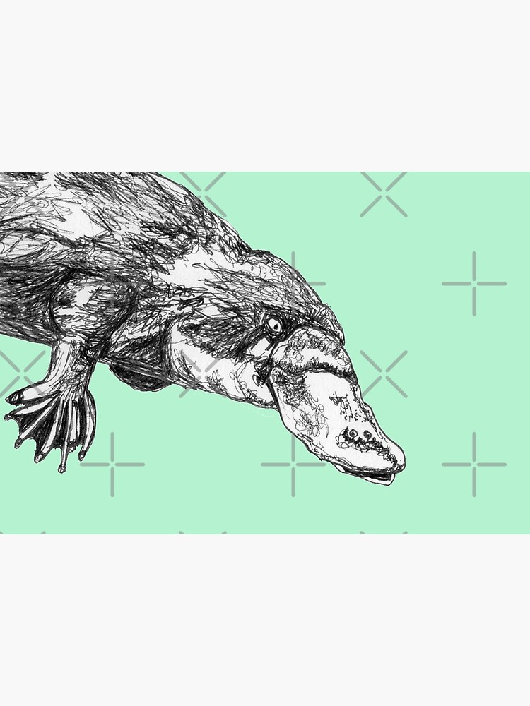 Fernando the Platypus by Wildcard-Sue