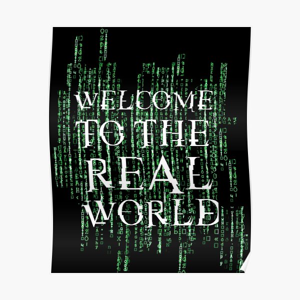 "Welcome to the real world" Poster for Sale by Cauto-DiPelo | Redbubble