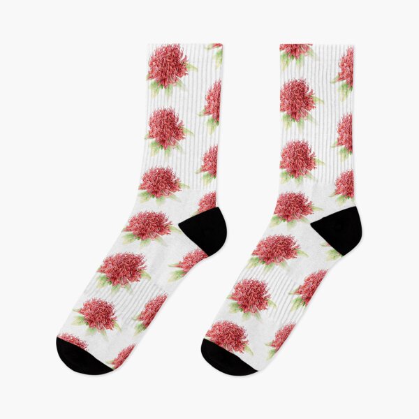Item preview, Waratah Telopea speciosissima red flower watercolor designed and sold by Sarah Trett.