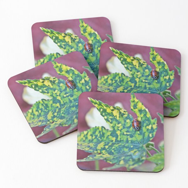 Item preview, Mariquita en un arce designed and sold by Katagram.