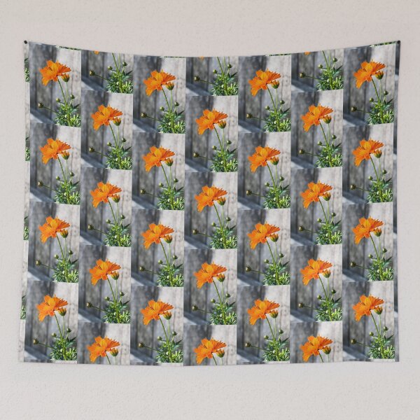Item preview, Orange Double Cosmo designed and sold by Katagram.