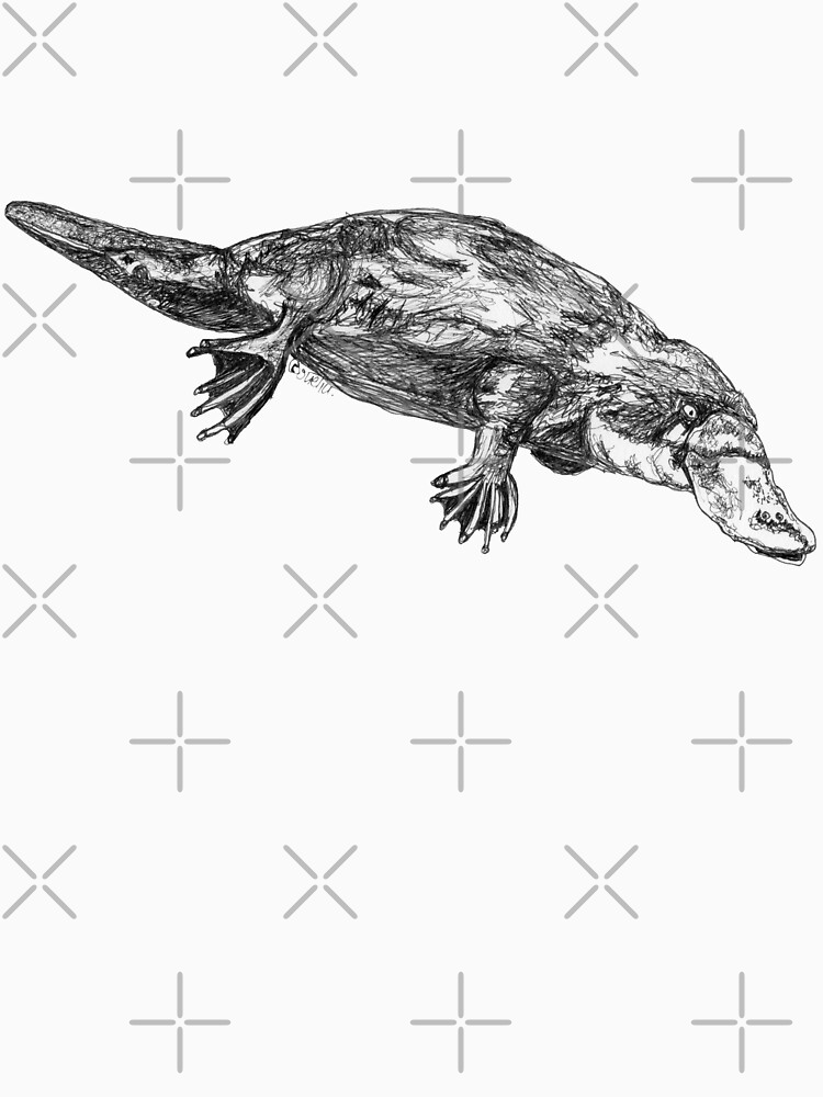 Fernando the Platypus by Wildcard-Sue