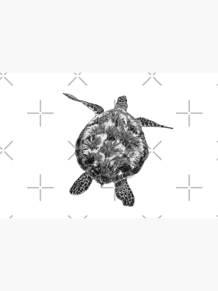 Jacki the Turtle by Wildcard-Sue