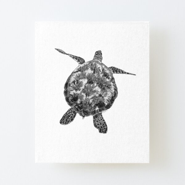 Jacki the Turtle Canvas Mounted Print