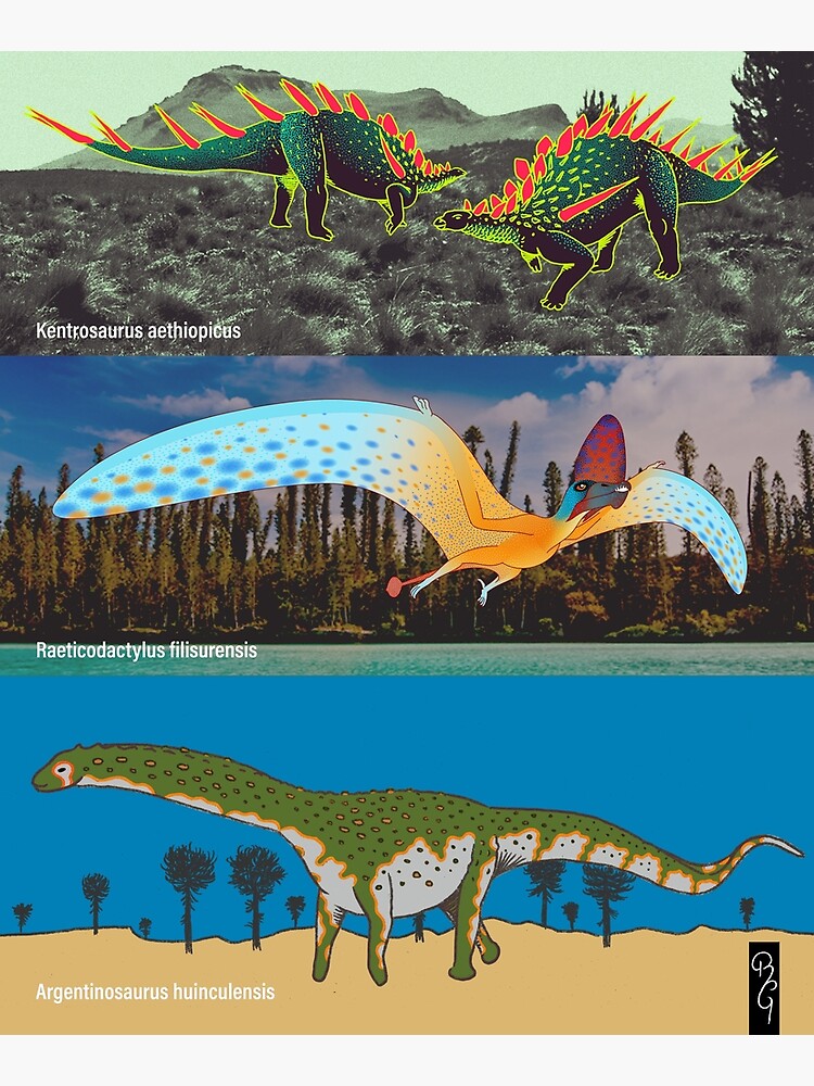 raeticodactylus