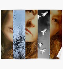 Transient Poster