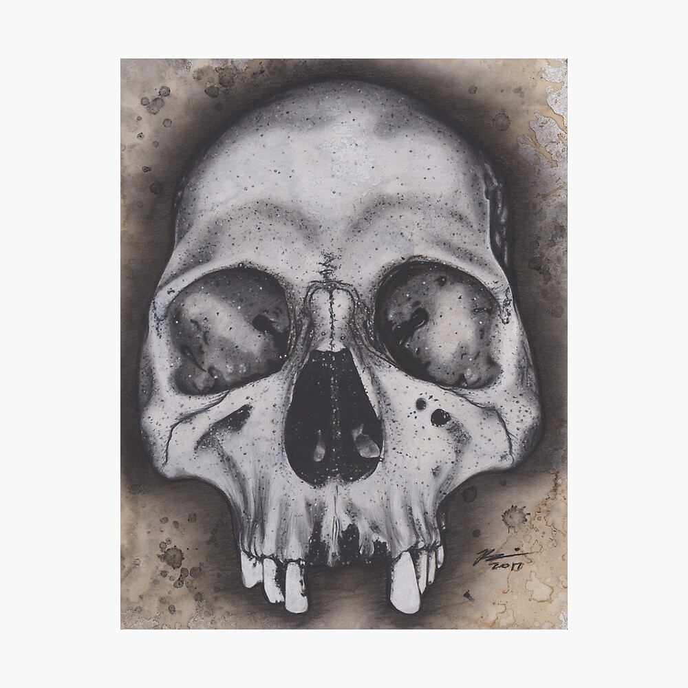 Charcoal drawing of a detailed skull on Craiyon