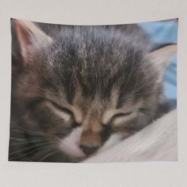 Item preview, Cute Sleeping Kitty designed and sold by GrudleBay.
