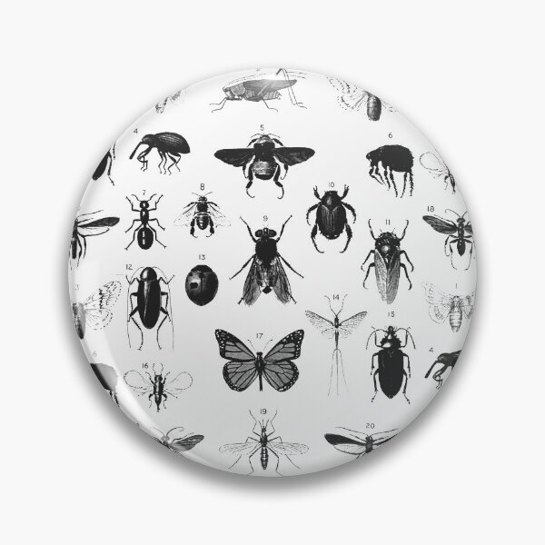 Item preview, Insect Study on White INS950 designed and sold by missdebi27.