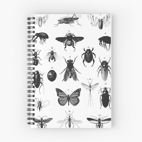 Item preview, Insect Study on White INS950 designed and sold by missdebi27.