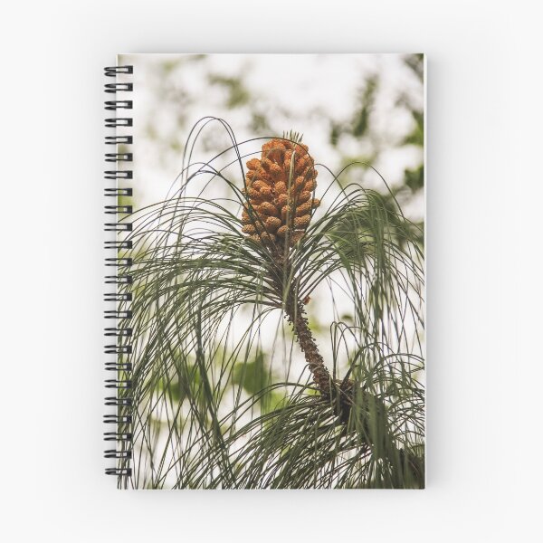 Item preview, Becoming a Pine Cone! designed and sold by heatherfriedman.