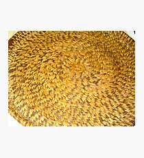Pine Needle Plate Photographic Print