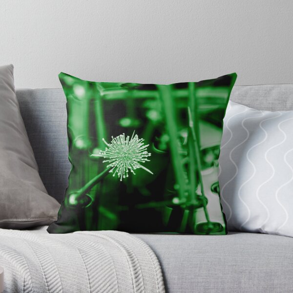 Pom Pom Throw Pillow