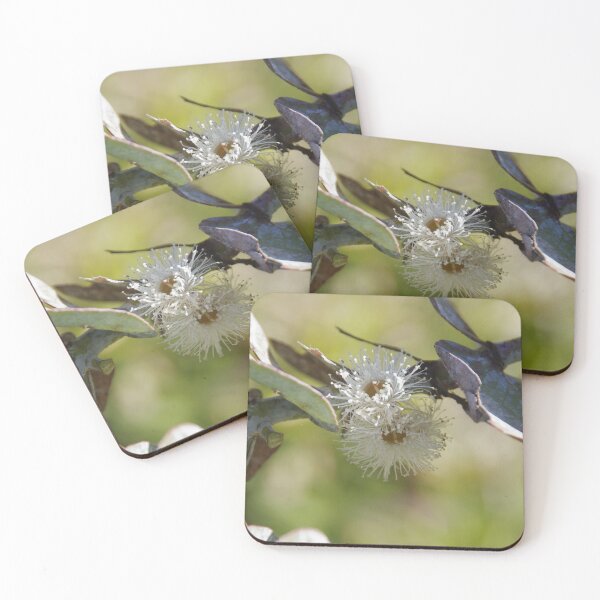 Item preview, Silver Dollar Gum Flowers designed and sold by DeborahMcGrath.
