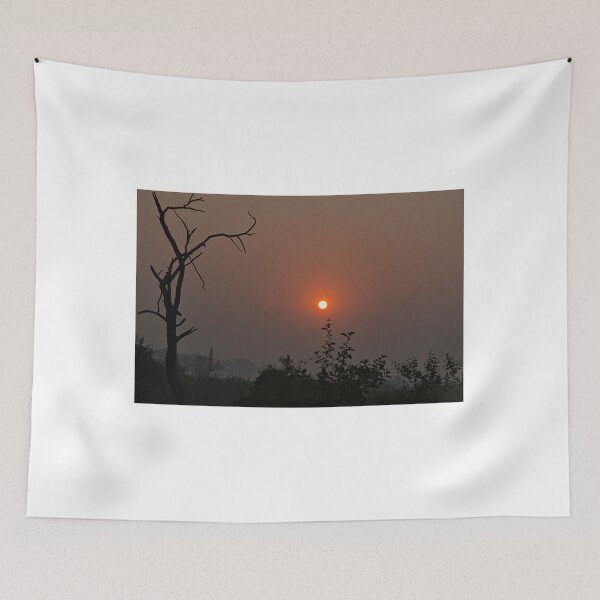 Item preview, Sunrise in Bharatpur designed and sold by photograham.