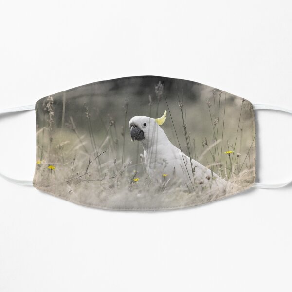 Sulphur Crested Cockatoo Mask
