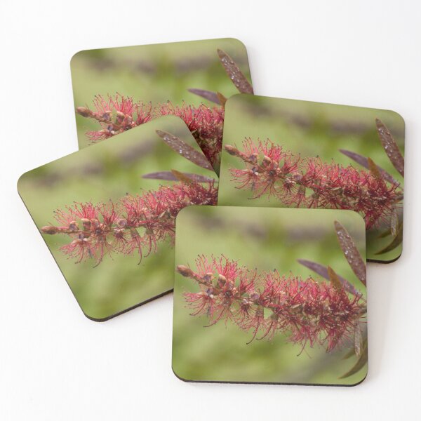 Item preview, Bottlebrush designed and sold by DeborahMcGrath.