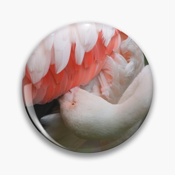 Item preview, Preening designed and sold by Carole-Anne.