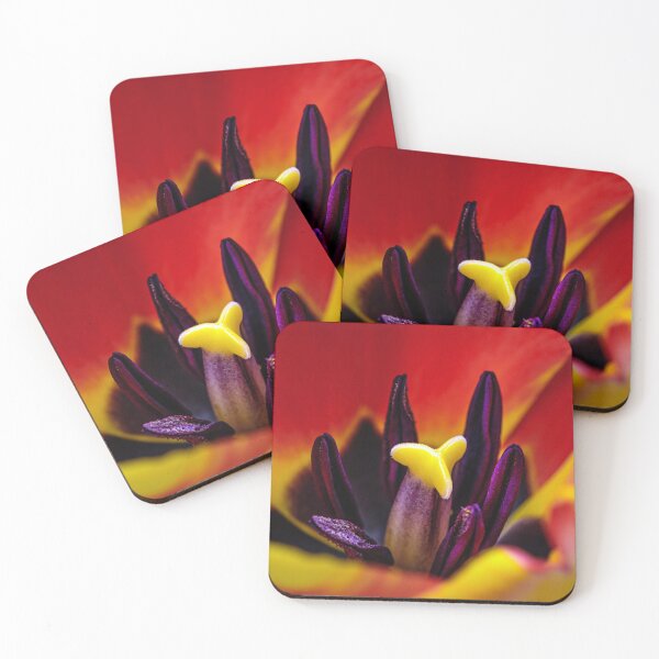 Artikelvorschau, Nahaufnahme Tulpenstaubblatt entworfen und verkauft von alan tunnicliffe.