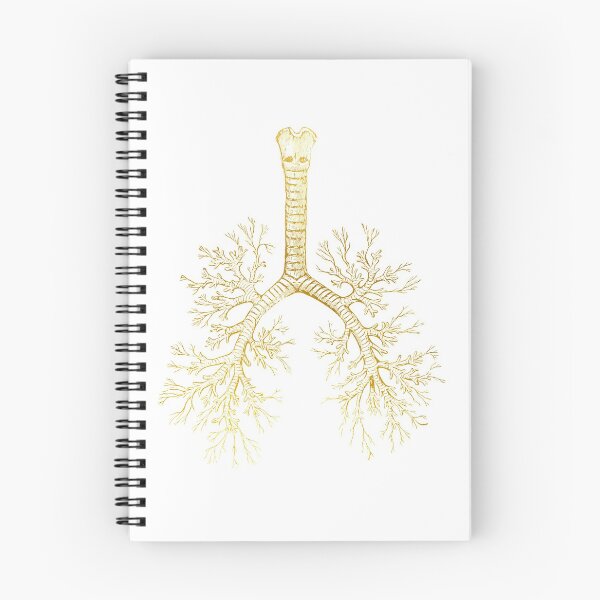 Item preview,  Bronchial tree designed and sold by Liededrom..