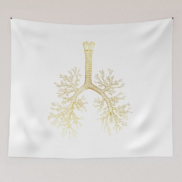 Item preview,  Bronchial tree designed and sold by Liededrom..