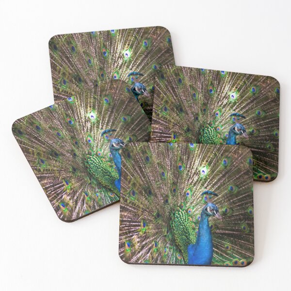 Item preview, Peacock Perfect designed and sold by Lisa Kenny.