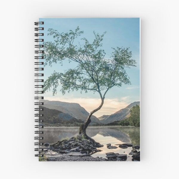 Item preview, Lone tree designed and sold by alan tunnicliffe.