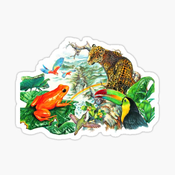 Item preview, Rainforest Animals designed and sold by Salmoneggs.