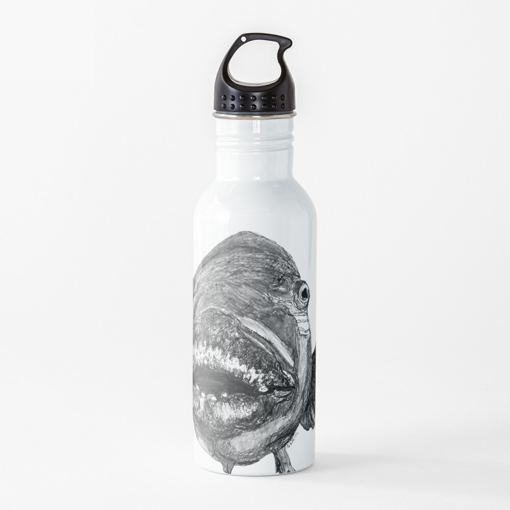 Meg the Blue Groper Water Bottle