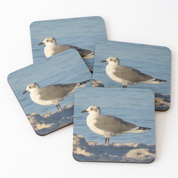 Item preview, Seagull on Beach designed and sold by Linda Walsh.