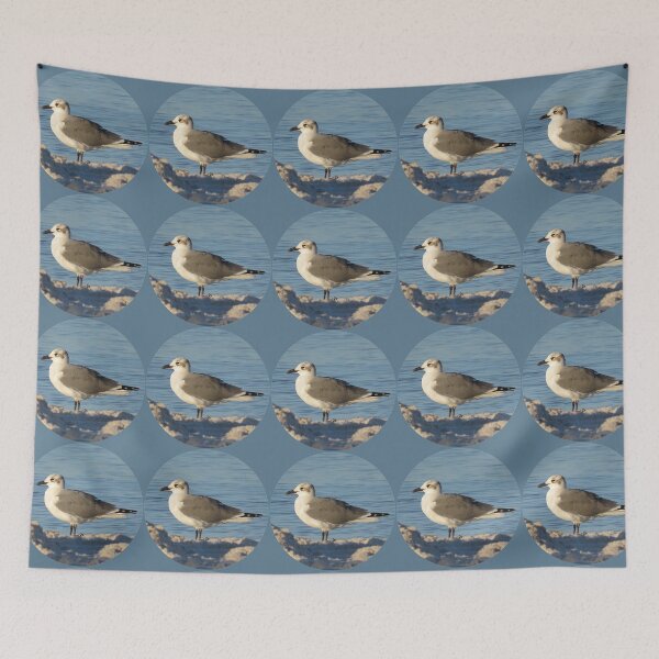 Item preview, Seagull on Beach designed and sold by Linda Walsh.