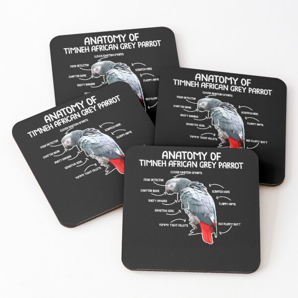 Item preview, Anatomy of timneh african gray parrot gift designed and sold by redshirtz.