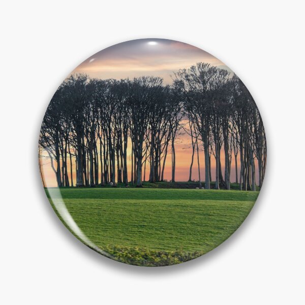 Item preview,  nearly home trees Cornwall at sunset designed and sold by kathleenjean.