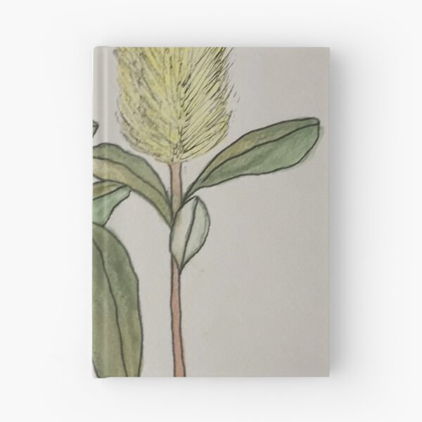Artikelvorschau, Banksia Blumenaquarell entworfen und verkauft von Gridun.