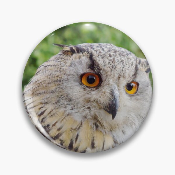 Item preview, Eagle Owl with glowing eyes designed and sold by MarionsArt.