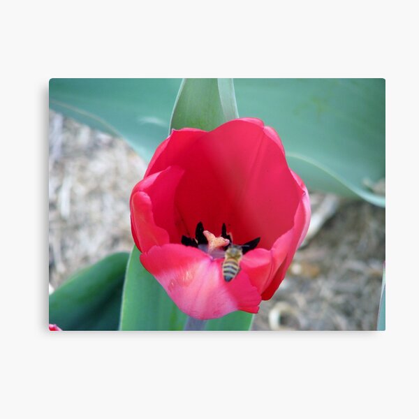 on the edge Metal Print