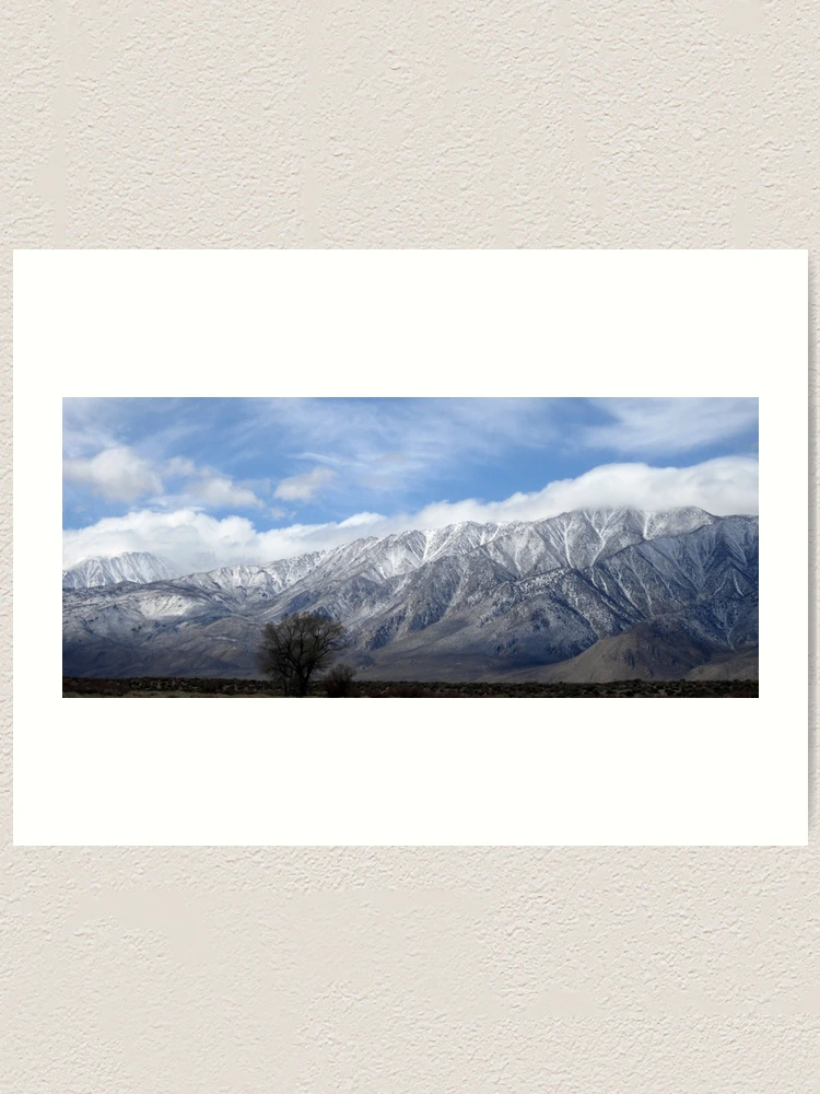 Thumbnail 1 of 3, Art Print, Spring Time????????????? designed and sold by MARILYN DIAZ.