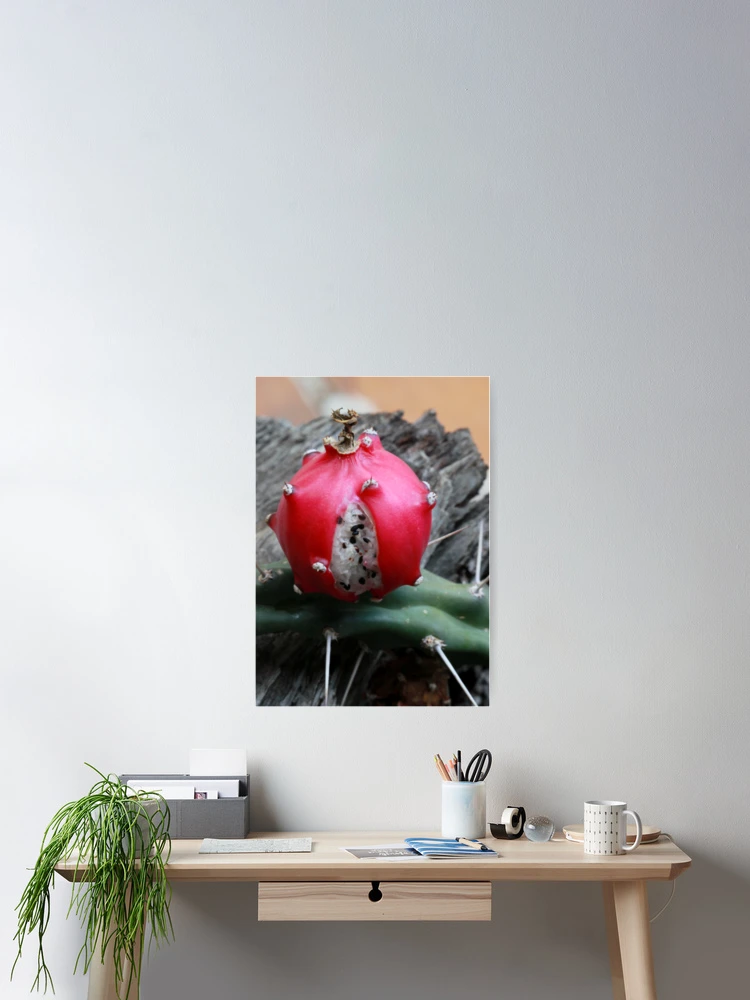 Thumbnail 2 of 3, Poster, Pop!! designed and sold by Rina Greeff.