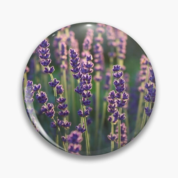 Item preview, Beautiful lavender plant flower heads nature background designed and sold by Imladris01.