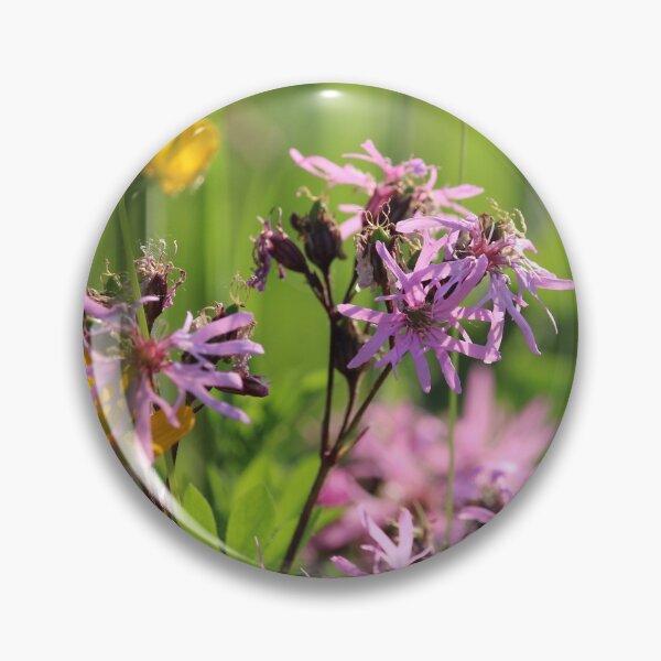 Artikelvorschau, Schöne Kuckucks-Lichtnelke-Blumen auf einer Sommerwiese. entworfen und verkauft von Imladris01.