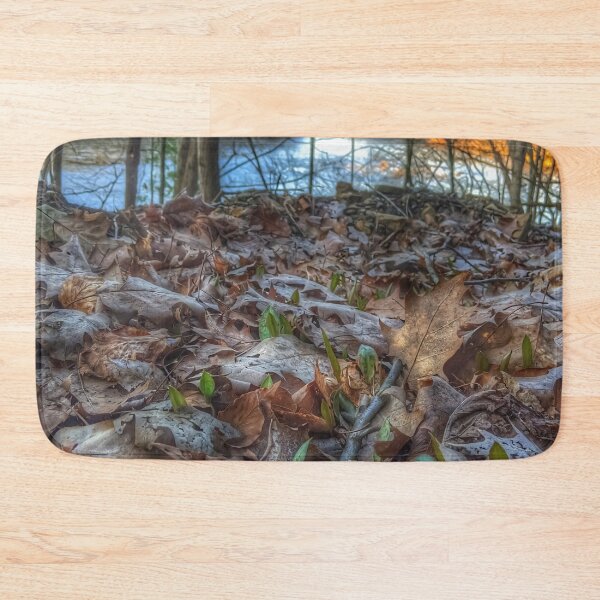 Item preview, Sprouting Trout Lilies designed and sold by giftoftradition.