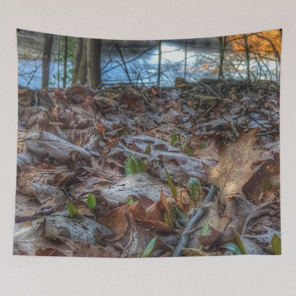 Item preview, Sprouting Trout Lilies designed and sold by giftoftradition.