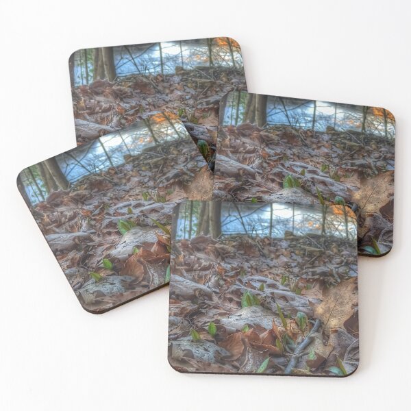 Item preview, Sprouting Trout Lilies designed and sold by giftoftradition.