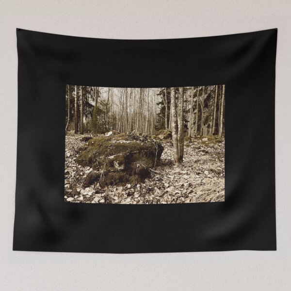 Item preview, Ancient tomb area from Iron Age. Paivaniemi designed and sold by Jouko Lehto Photography.